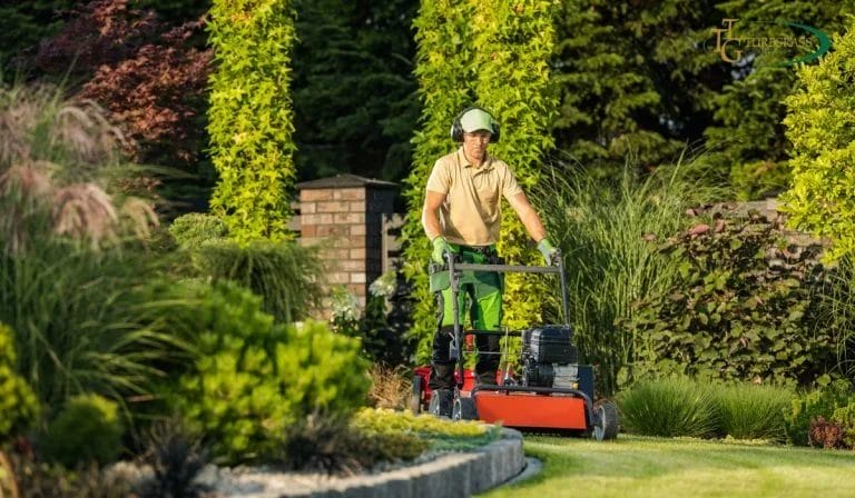 Essential Lawn Care: Aerating, Overseeding & Fertilizing for a Lush Yard 5 Essential Lawn Care Aerating Overseeding Fertilizing for a Lush Yard 4