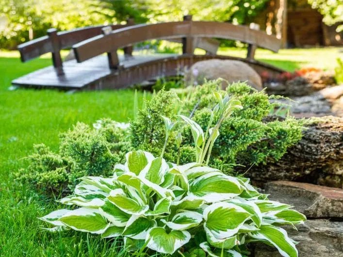 Refresh Spring Landscaping Ideas to Revitalize Your Outdoor Space 3 Fresh Spring Landscaping Ideas to Revitalize Your Outdoor Space 2