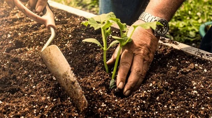 Get Your Hands Dirty A Beginner’s Guide to Garden Soil Preparation