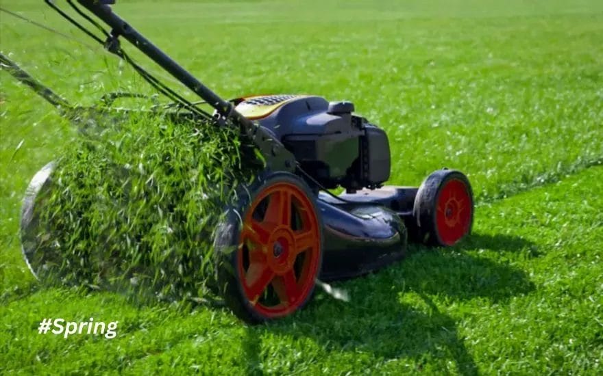 Spring Lawn & Landscape Care A Seasonal Guide