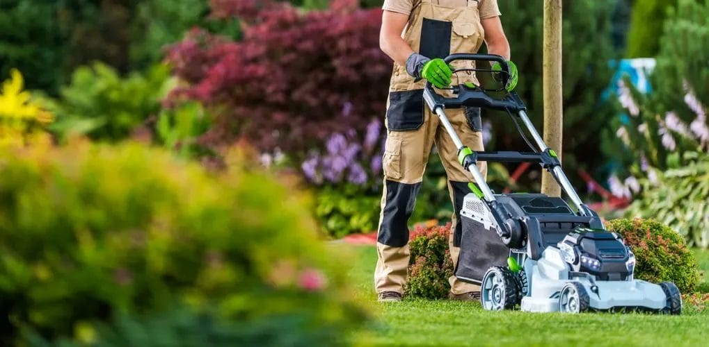 Spring Lawn & Landscape Care: Essential Tips for a Thriving Yard 5 Spring Lawn Landscape Care Essential Tips for a Thriving Yard 4