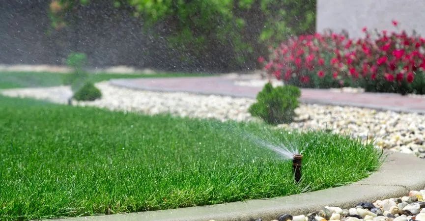 Spring Lawn & Landscape Care: Essential Tips for a Thriving Yard 6 Spring Lawn Landscape Care Essential Tips for a Thriving Yard 5