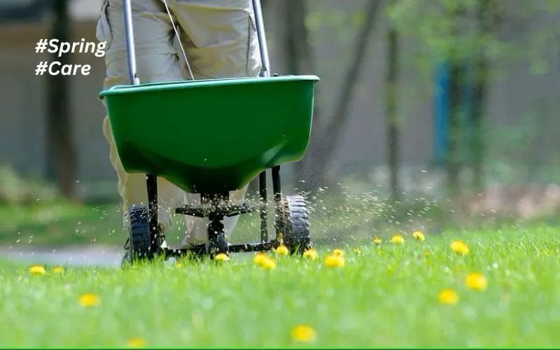 Spring Lawn & Landscape Care Essential Tips for a Thriving Yard