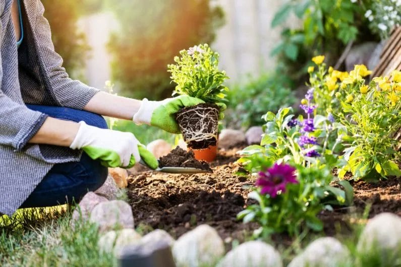 The Importance of Spring Planting: Cultivating Nature’s Growth