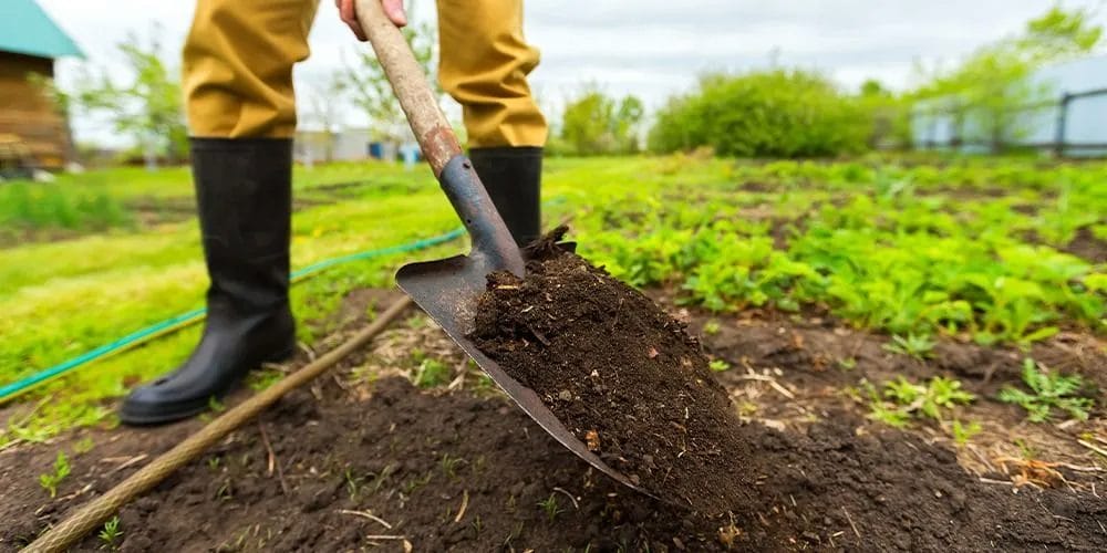 The Ultimate Guide to Spring Garden Prep & Revival 1 The Ultimate Guide to Spring Garden Prep Revival