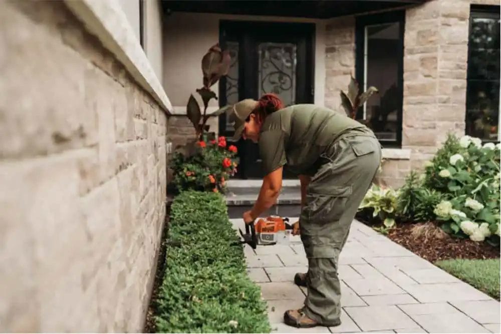 Ultimate Spring Garden Cleanup: How to Refresh Your Landscape 6 Ultimate Spring Garden Cleanup How to Refresh Your Landscape 5