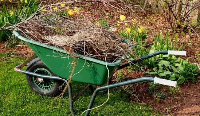 Ultimate Spring Garden Cleanup: How to Refresh Your Landscape 2 Ultimate Spring Garden Cleanup How to Refresh Your Landscape