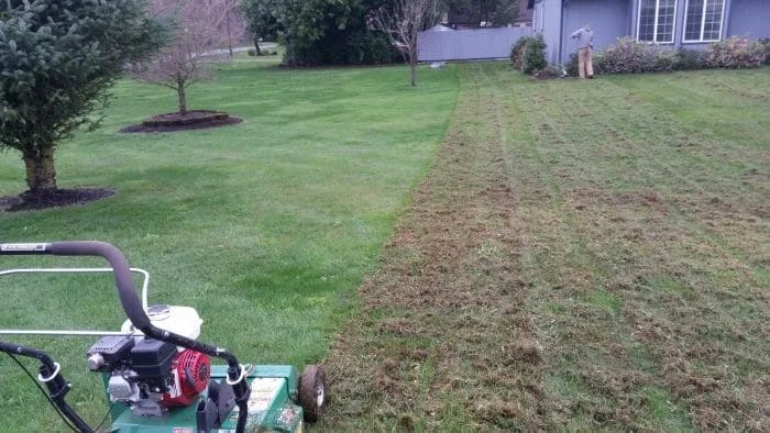 Why Dethatching Your Lawn Really Matters