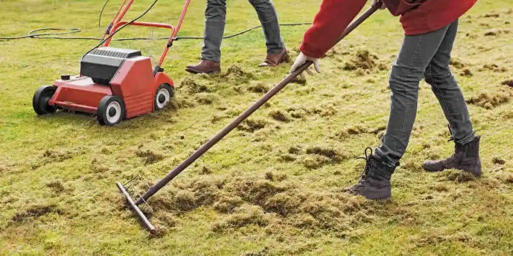 Why Dethatching Your Lawn Really Matters 1 How Businesses Can Succeed with Social Media Marketing
