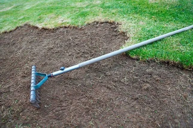 How to Restore Your Lawn After Winter Damage: A Step-by-Step Guide 4 How to Restore Your Lawn After Winter Damage A Step by Step Guide 3