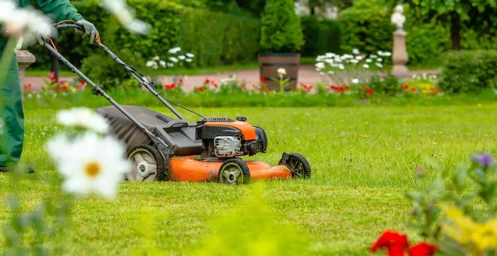 How to Restore Your Lawn After Winter Damage: A Step-by-Step Guide 7 How to Restore Your Lawn After Winter Damage A Step by Step Guide 6