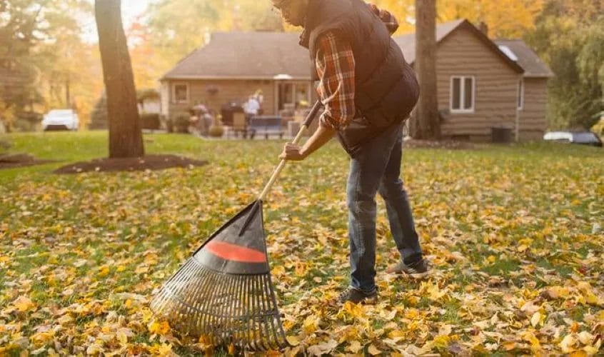 Landscape Edging Maintenance: Keep It Perfect Through Every Season 4 Landscape Edging Maintenance Keep It Perfect Through Every Season 3
