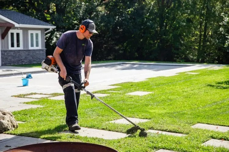 Landscape Edging Maintenance Keep It Perfect Through Every Season