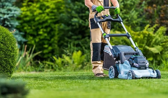 Ultimate Lawn Care for Beginners: Everything You Need to Know 3 Lawn Care for Beginners Everything You Need to Know 2