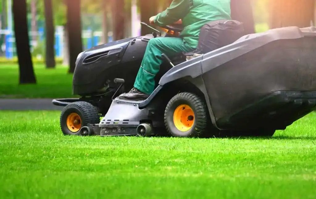The Key to a Lush and Healthy Lawn: Why Regular Mowing Matters 3 The Key to a Lush and Healthy Lawn Why Regular Mowing Matters 4
