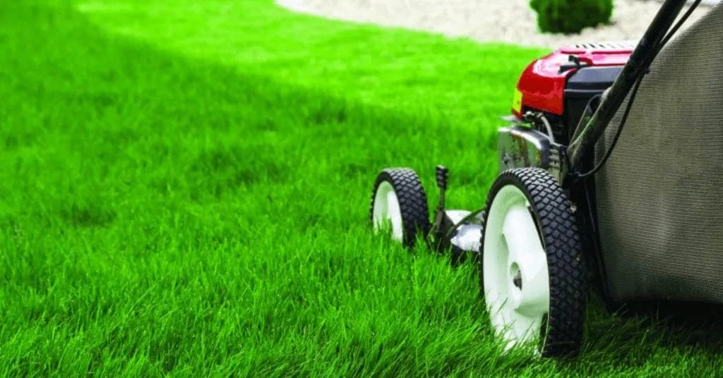 The Key to a Lush and Healthy Lawn: Why Regular Mowing Matters 5 The Key to a Lush and Healthy Lawn Why Regular Mowing Matters 5