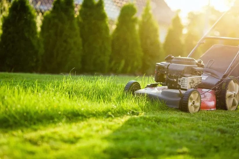 The Key to a Lush and Healthy Lawn: Why Regular Mowing Matters 1 The Key to a Lush and Healthy Lawn Why Regular Mowing Matters