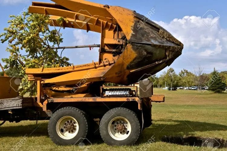 Tree Removal Techniques The Ultimate Guide