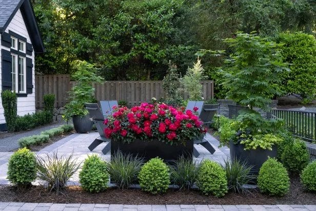Upgrade Your Yard: 20 Inspiring Landscaping Ideas 2 Upgrade Your Yard 20 Inspiring Landscaping Ideas 1