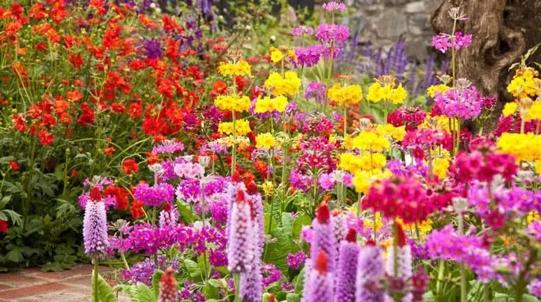 Upgrade Your Yard: 20 Inspiring Landscaping Ideas 4 Upgrade Your Yard 20 Inspiring Landscaping Ideas 3