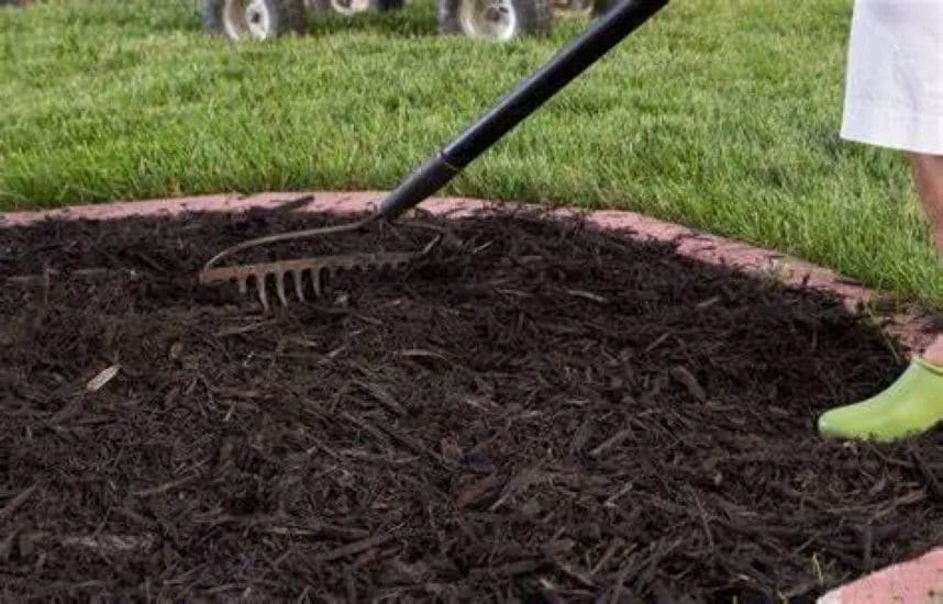 Your Guide to Effective Mulching for Lawn and Garden Health 2 Your Guide to Effective Mulching for Lawn and Garden Health 1
