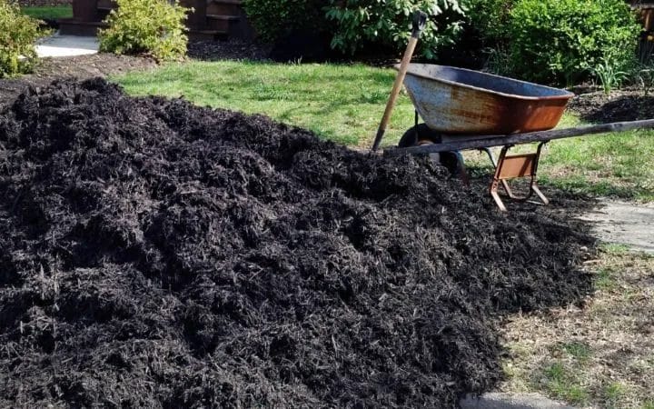 Your Guide to Effective Mulching for Lawn and Garden Health 5 Your Guide to Effective Mulching for Lawn and Garden Health 4