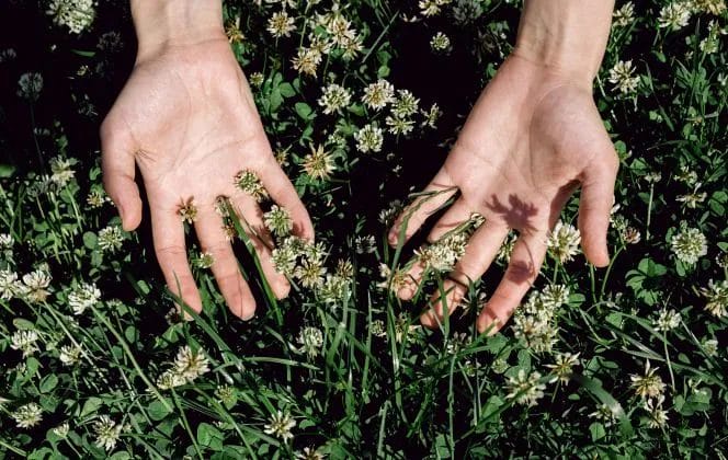 9 Surprising Benefits of Regular Lawn Mowing and Why It Matters 5 9 Surprising Benefits of Regular Lawn Mowing and Why It Matters 4