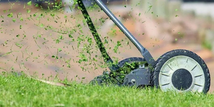 Lawn Aeration in Summer: The Proven Why & How 4 Lawn Aeration in Summer The Proven Why How 3