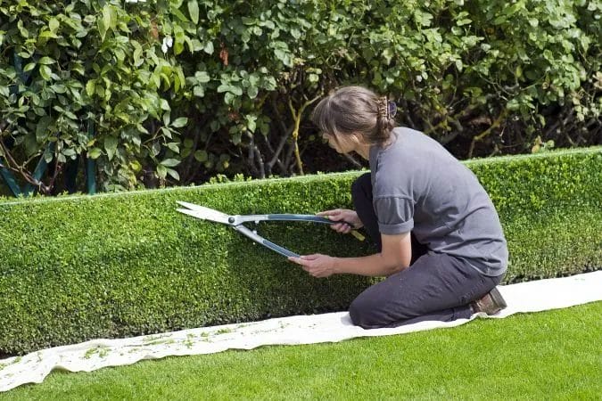 Stunning Lawn Edging Techniques for a Professional Look