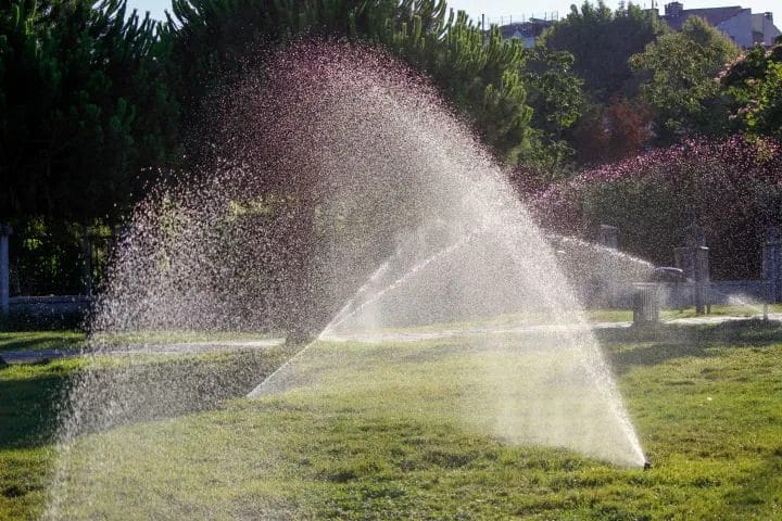 The Best Watering Schedule for a Healthy Summer Lawn 2 The Best Watering Schedule for a Healthy Summer Lawn 1