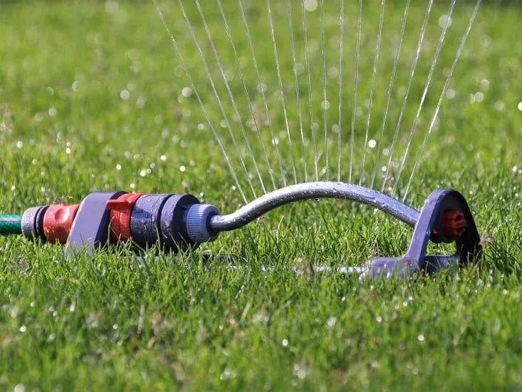 The Best Watering Schedule for a Healthy Summer Lawn 3 The Best Watering Schedule for a Healthy Summer Lawn 2
