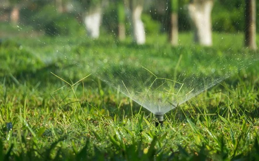 The Best Watering Schedule for a Healthy Summer Lawn 5 The Best Watering Schedule for a Healthy Summer Lawn 4