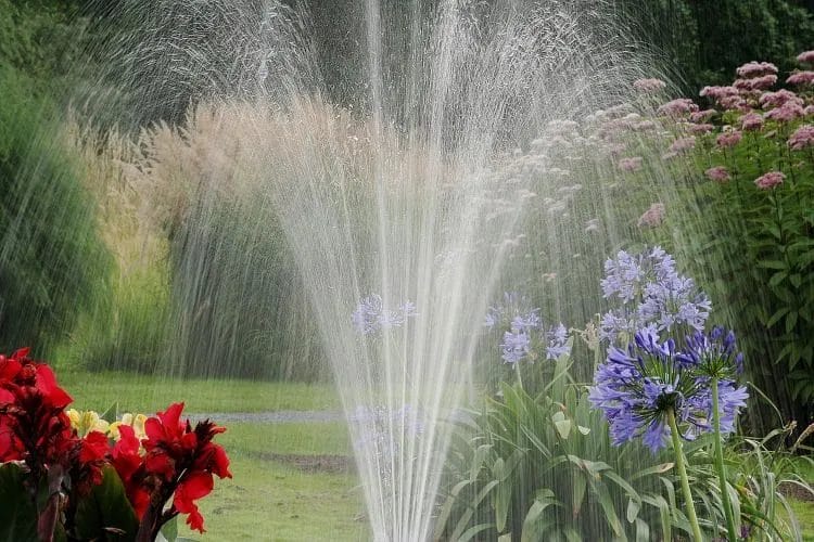 The Best Watering Schedule for a Healthy Summer Lawn