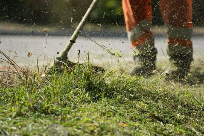 The Ultimate Power Guide to Perfect Summer Lawn Mowing & Precision Edging