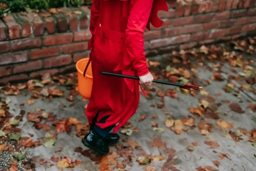 Avoid These Early Fall Landscaping Mistakes Homeowners Make 3 Avoid These Early Fall Landscaping Mistakes Homeowners Make 2