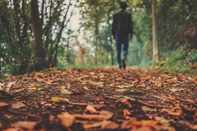 Avoid These Early Fall Landscaping Mistakes Homeowners Make