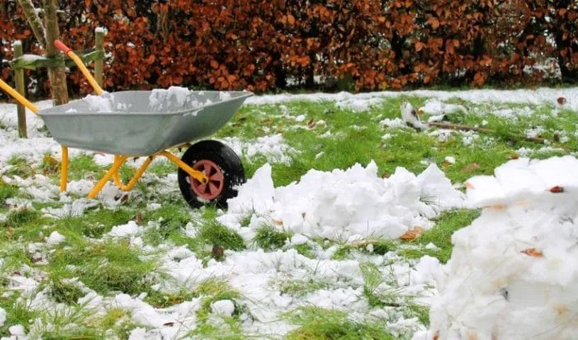 Winter Lawn Care Guide: Prep Your Yard for Cold Weather Now and a Greener Spring Later