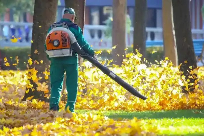 The Surprising Environmental Benefits of Professional Leaf Removal You May Not Know About 1 The Surprising Environmental Benefits of Professional Leaf Removal You May Not Know About