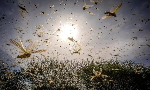 The Surprising Environmental Benefits of Professional Leaf Removal You May Not Know About 4 The Surprising Environmental Benefits of Professional Leaf Removal You May Not Know About