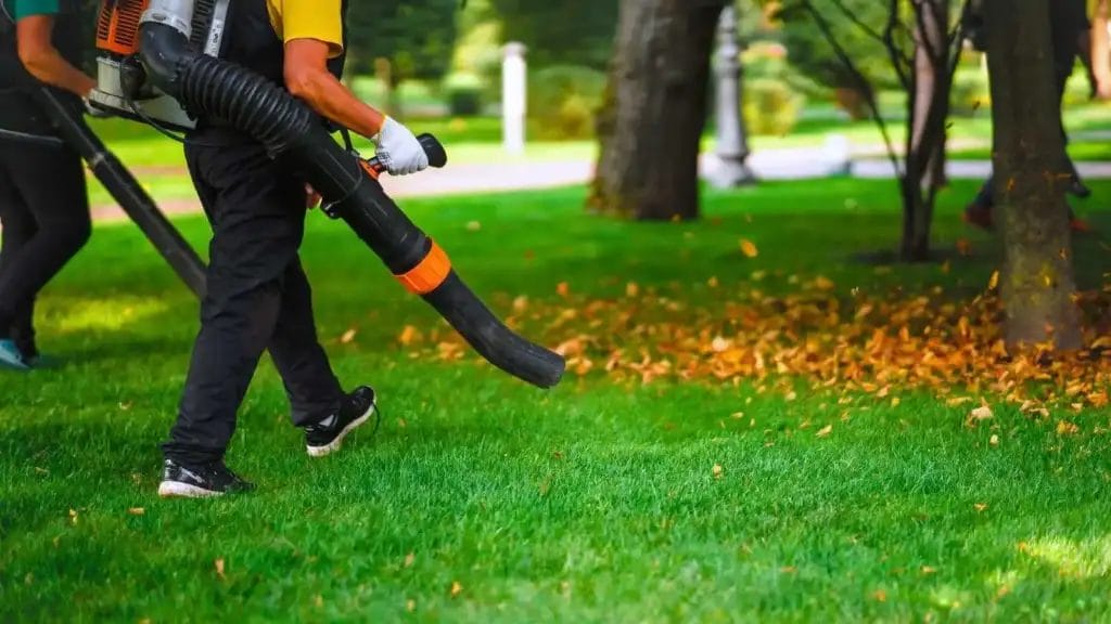 The Surprising Environmental Benefits of Professional Leaf Removal You May Not Know About 2 The Surprising Environmental Benefits of Professional Leaf Removal You May Not Know About