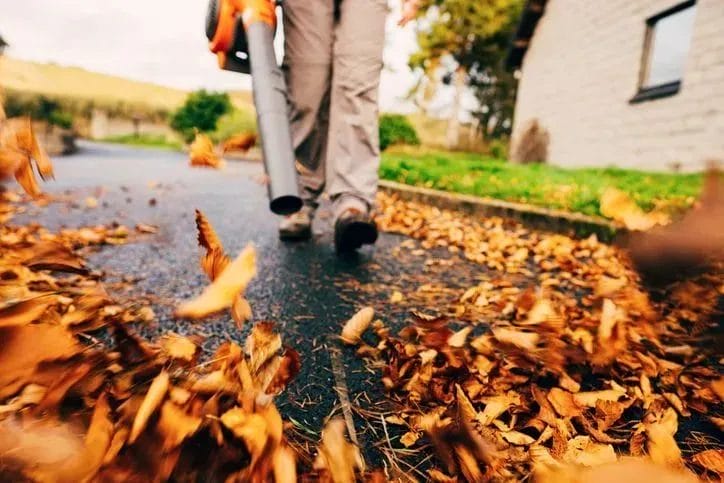 The Surprising Environmental Benefits of Professional Leaf Removal You May Not Know About 3 The Surprising Environmental Benefits of Professional Leaf Removal You May Not Know About